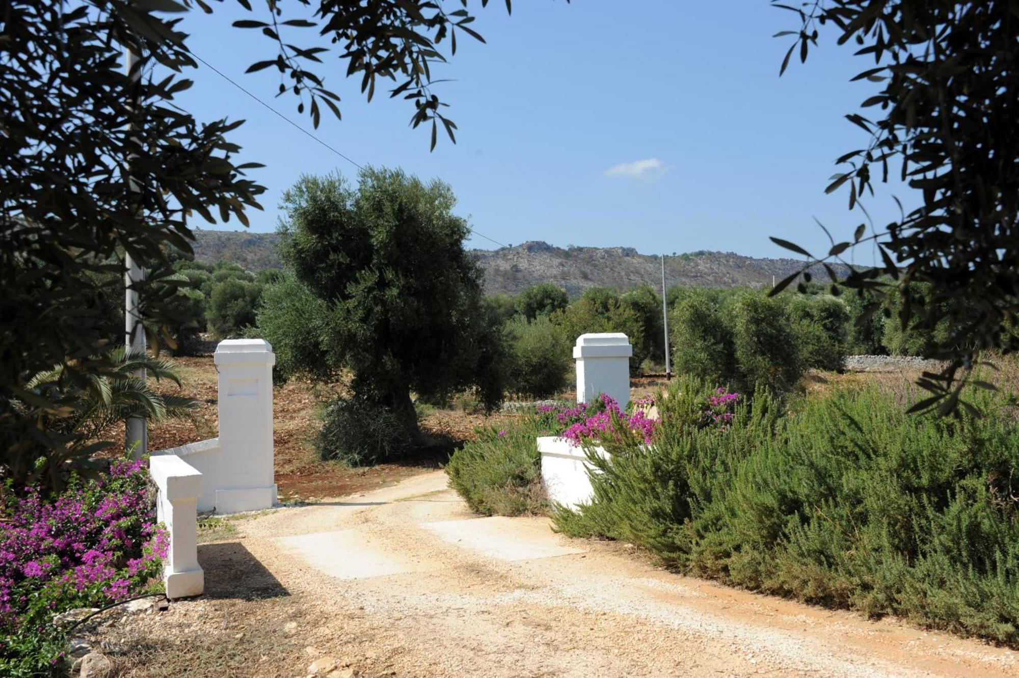 Masseria Lama Di Galizia Ostuni Eksteriør bilde