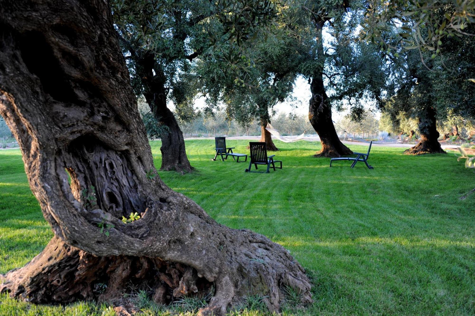 Masseria Lama Di Galizia Ostuni Eksteriør bilde