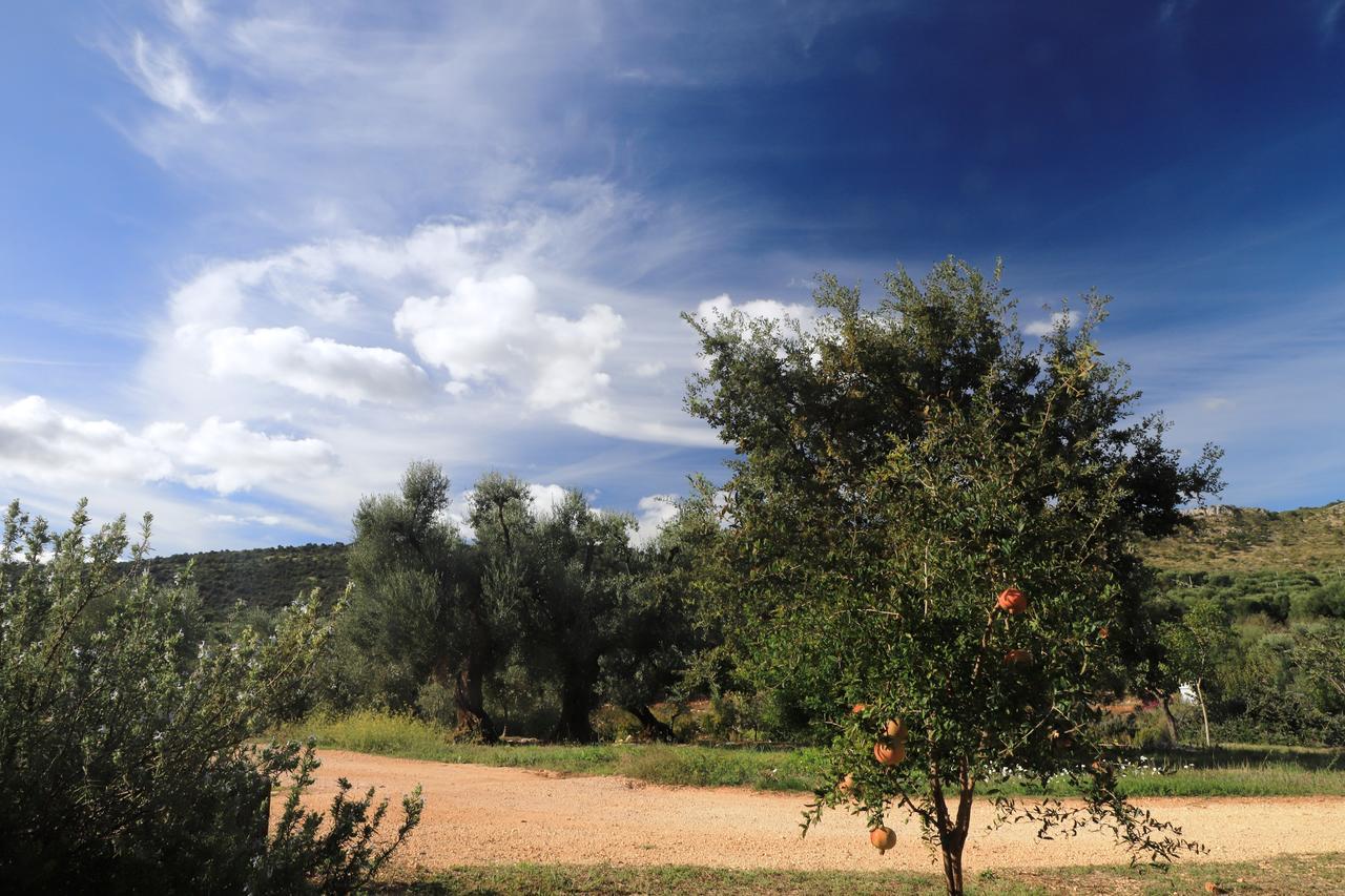 Masseria Lama Di Galizia Ostuni Eksteriør bilde