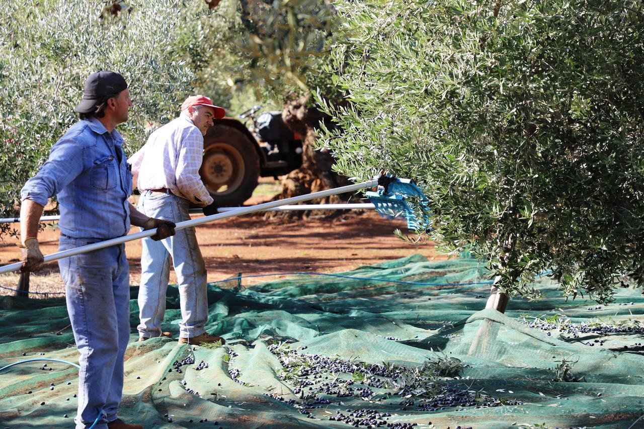 Masseria Lama Di Galizia Ostuni Eksteriør bilde