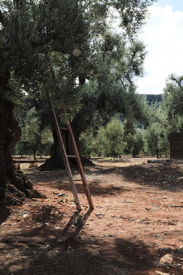 Masseria Lama Di Galizia Ostuni Eksteriør bilde